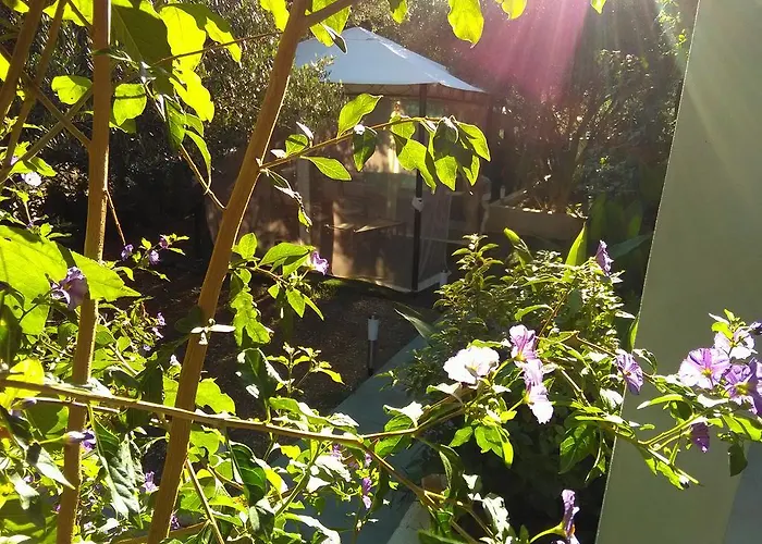 Appartamento Laura *